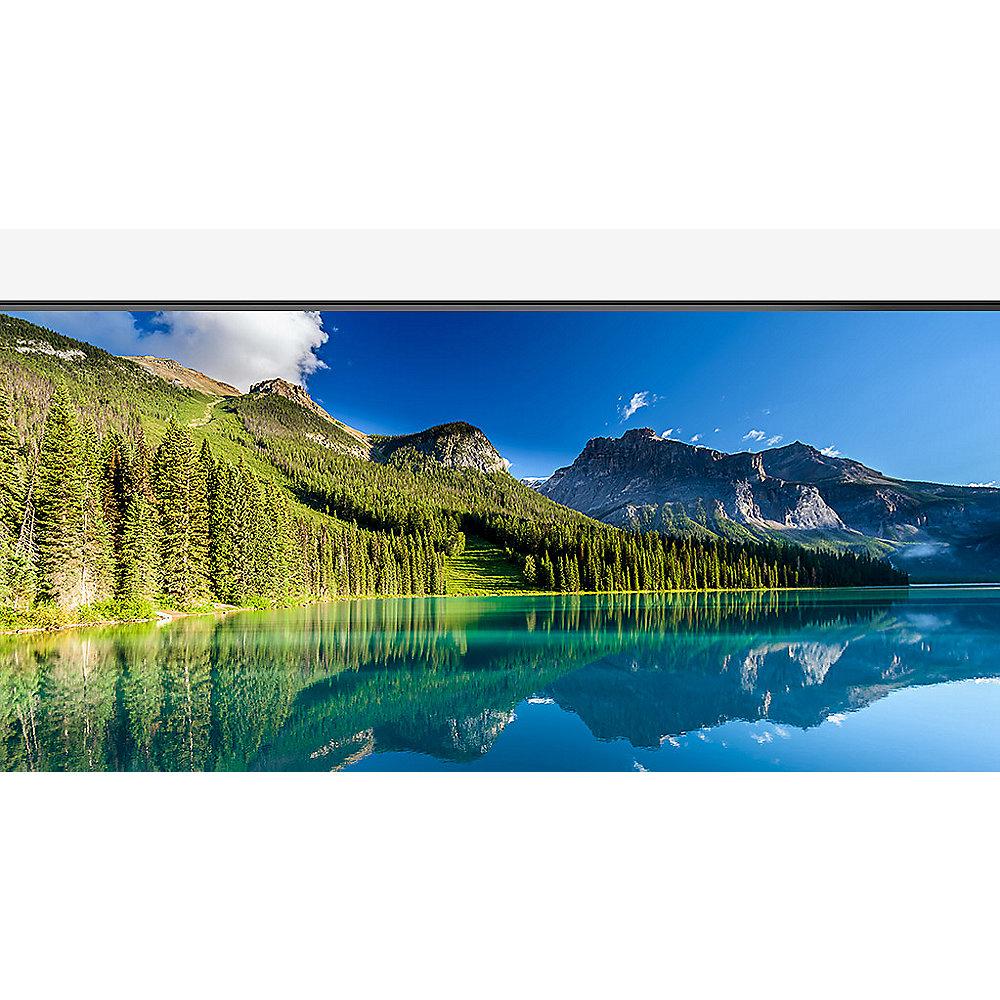 ACER ProDesigner PE320QK 80cm (31,5") UHD Profi-Monitor 130% (sRGB)