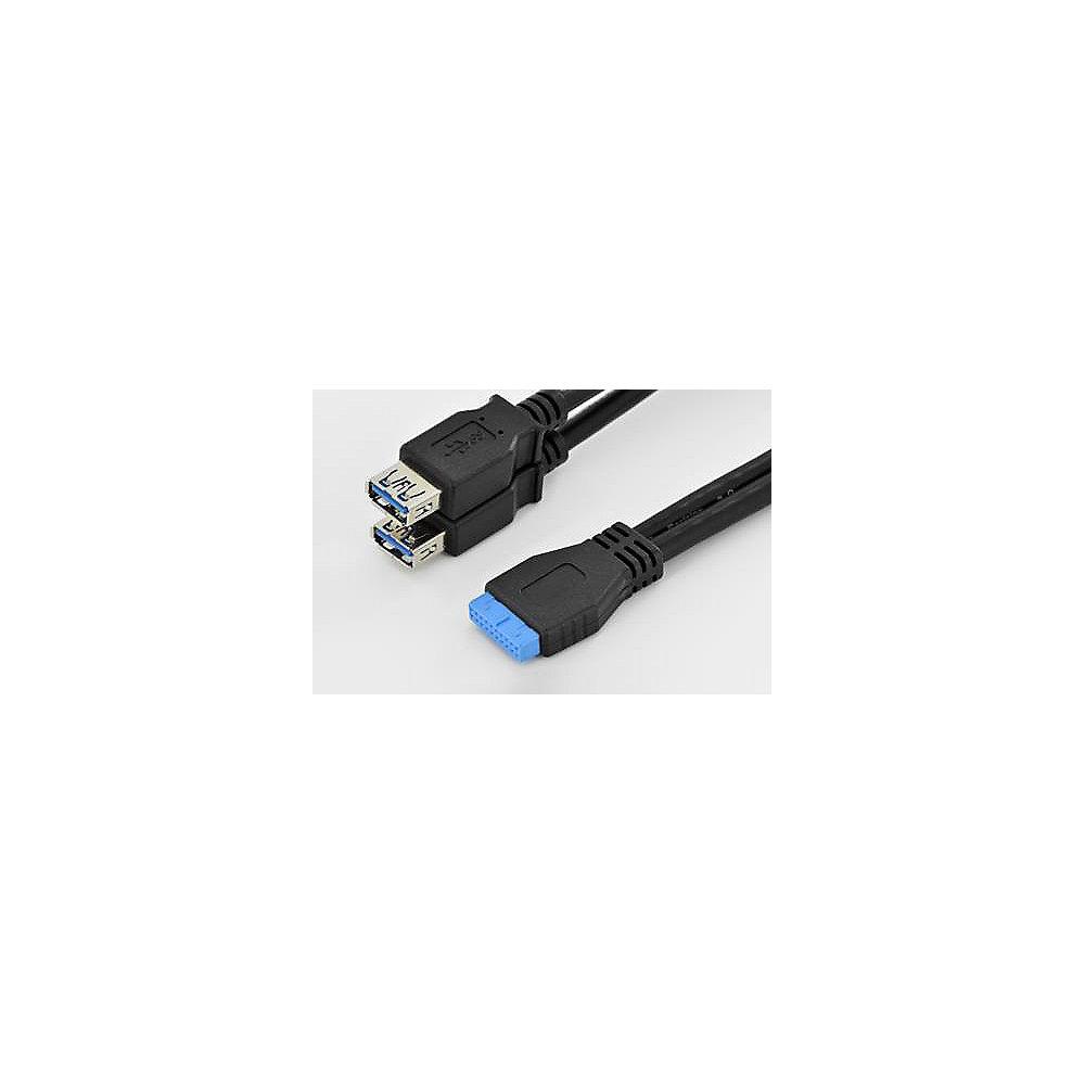 Assmann USB 3.0 Y-Adapter Kabel 0,3m 2x Typ-A zu 20-Pin IDC 2xBu./Bu. schwarz