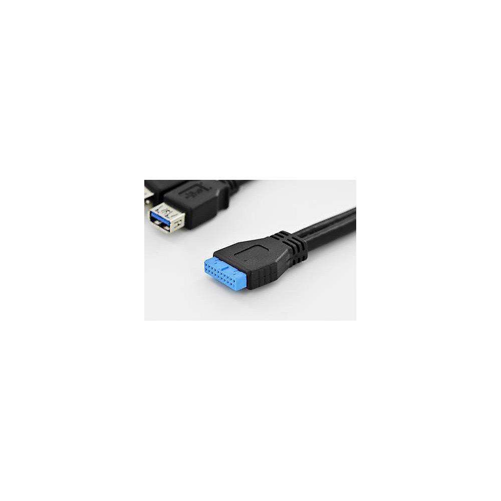 Assmann USB 3.0 Y-Adapter Kabel 0,3m 2x Typ-A zu 20-Pin IDC 2xBu./Bu. schwarz
