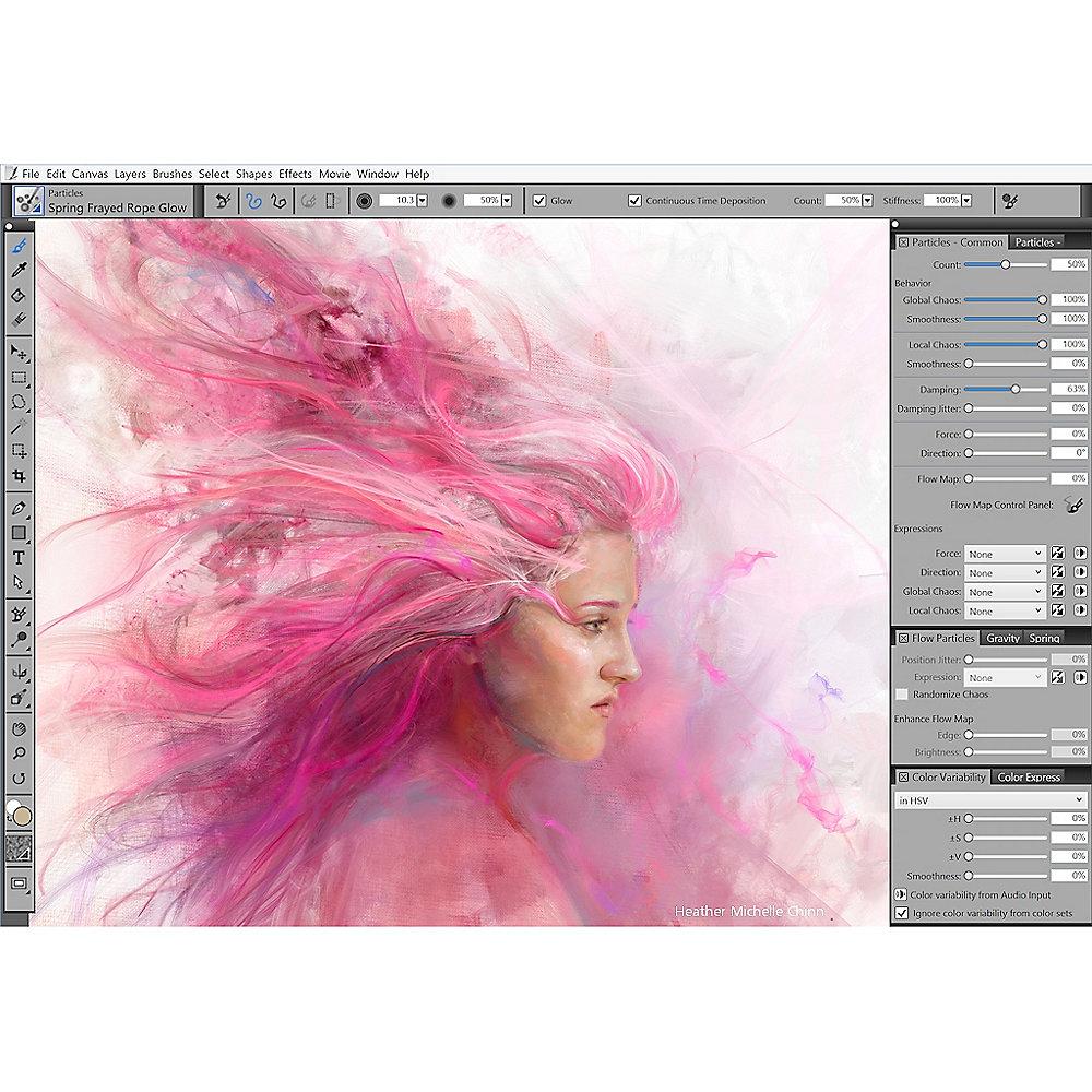 Corel Painter Maintenance 2 Jahre, 51-250 User (CTL)