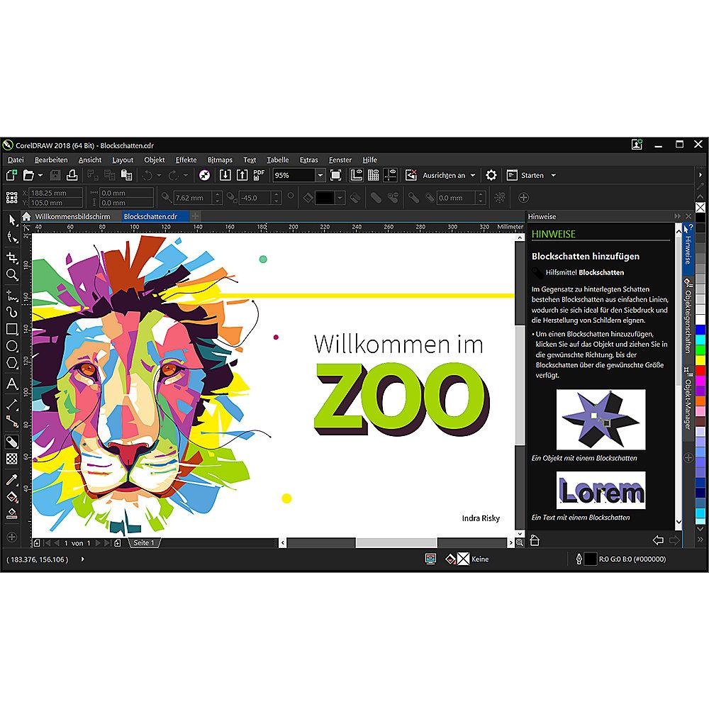 CorelDRAW Graphics Suite 2018 Upgrade Box