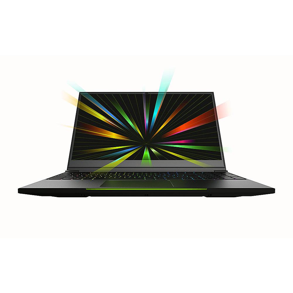 Schenker XMG NEO 15-M18hxv 15,6"FHD i7-8750H 16GB/1TB 256GB SSD GTX1060 Win10