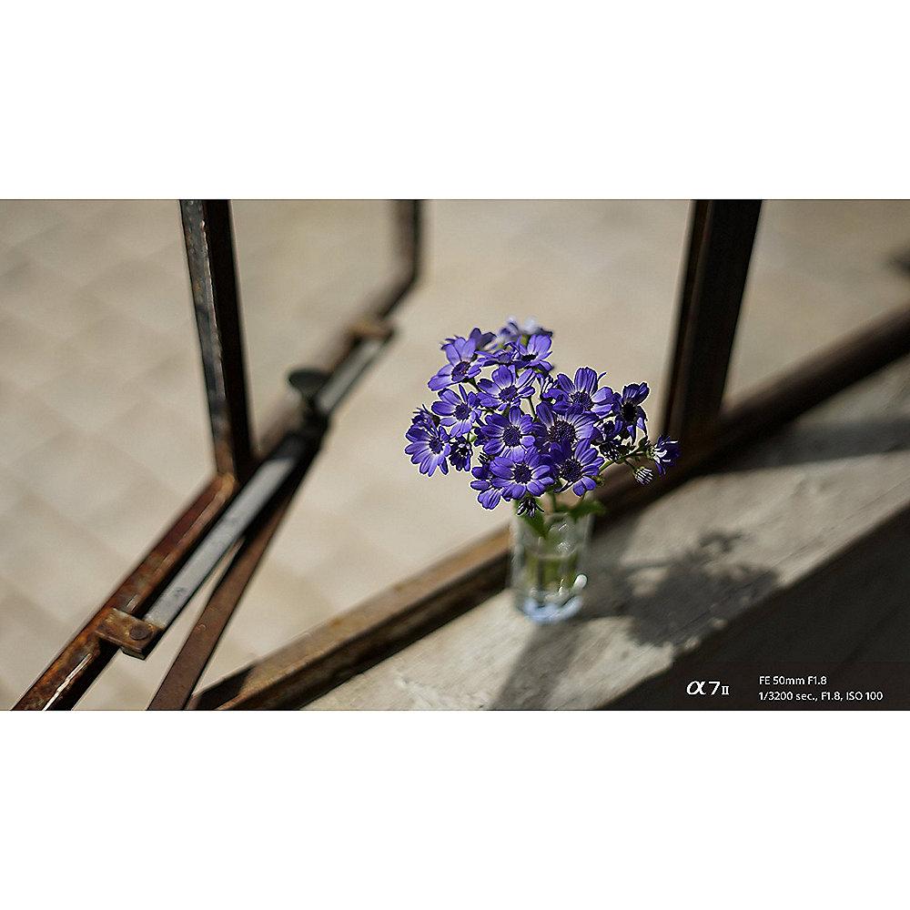 Sony FE 50mm f/1.8 Porträt Objektiv (SEL-50F18F)