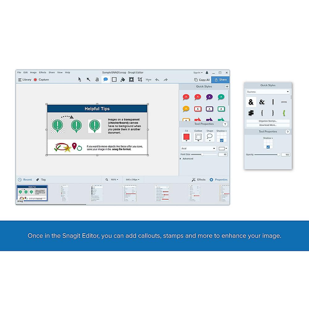 TechSmith SnagIt 13 1-4 User Mac/Win ESD