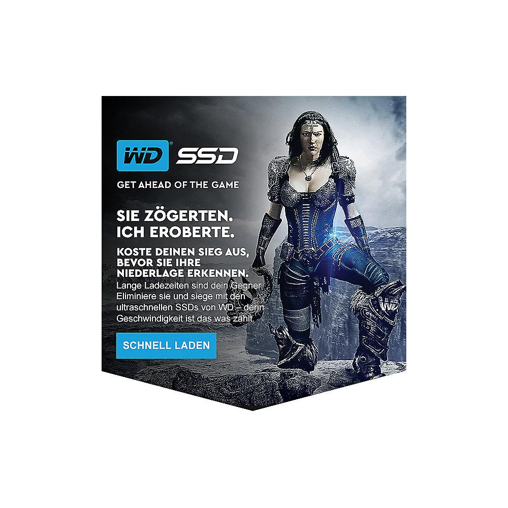 WD Blue 3D NAND SATA-SSD 500GB 6GB/s M.2 2280