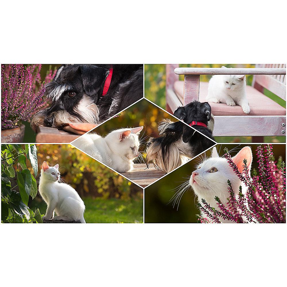 Adobe Photoshop Elements 2019 Minibox GER, deutsch