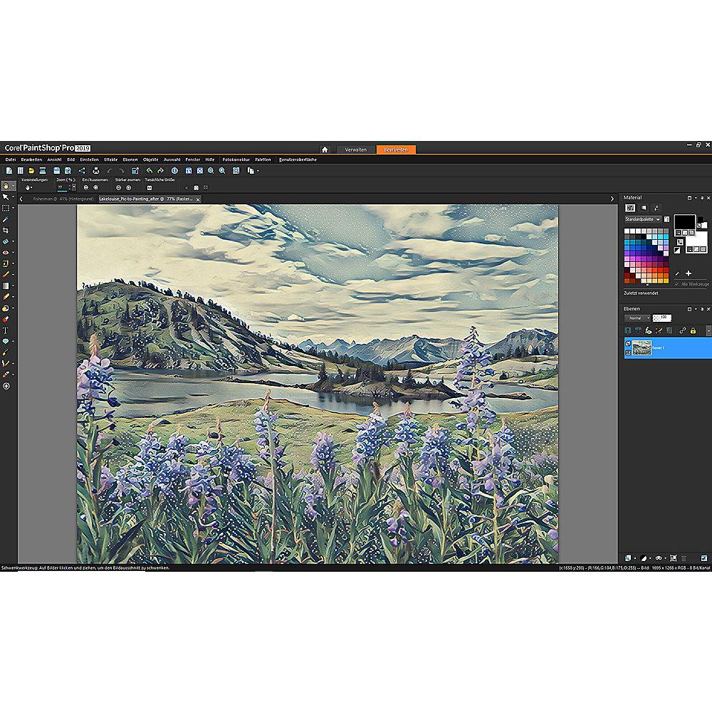 Corel PaintShop Pro 2019 - 1 User DE MiniBox