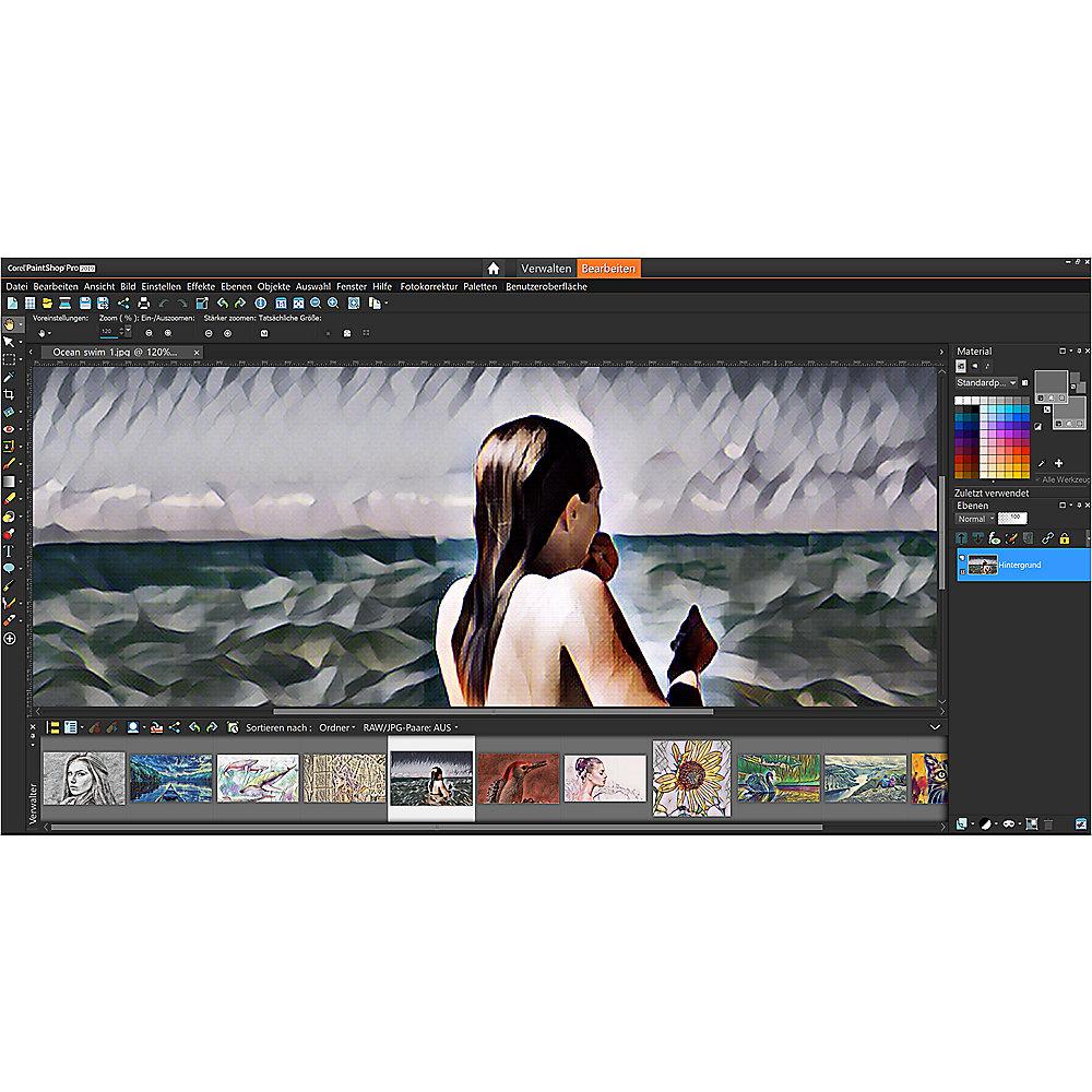 Corel PaintShop Pro 2019 - 1 User DE MiniBox