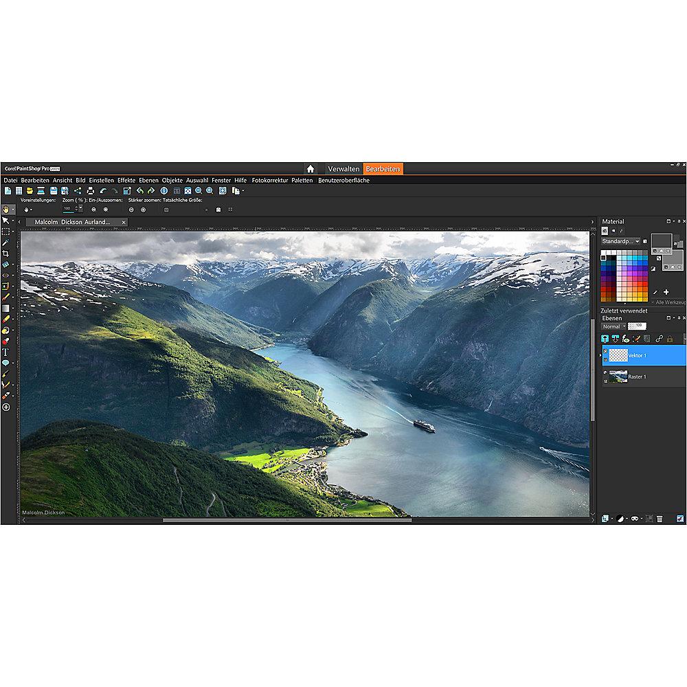 Corel PaintShop Pro 2019 - 1 User DE MiniBox