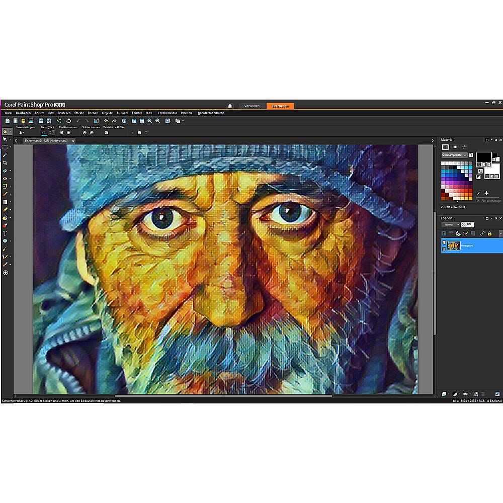 Corel PaintShop Pro 2019 Ultimate - 1 User DE MiniBox
