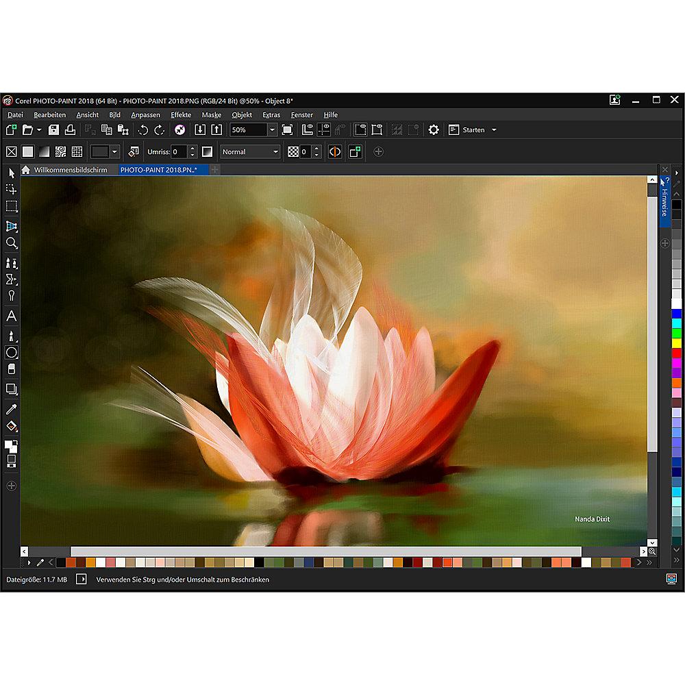 CorelDRAW Graphics Suite 2018 Upgrade Box, Englisch