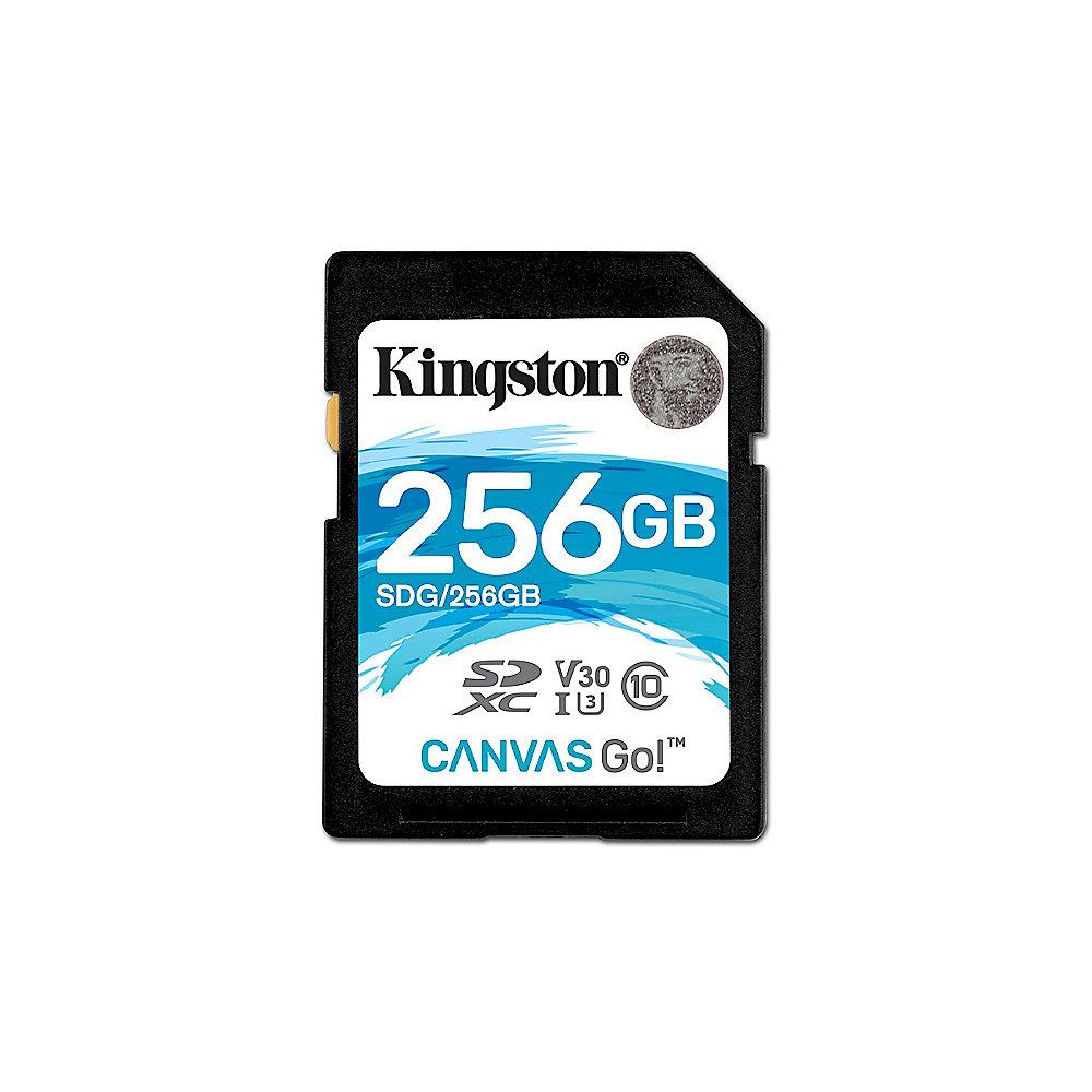 Kingston Canvas Go! 256 GB SDXC Speicherkarte (45 MB/s, Class 10, V30, UHS-I)