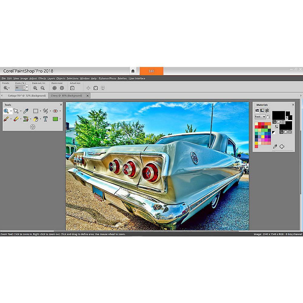 COREL PaintShop Pro 2018 (ML) MiniBox