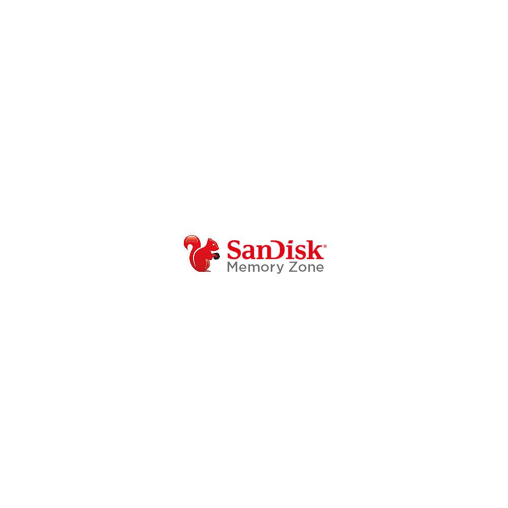 SanDisk Ultra 256 GB microSDXC Speicherkarte Kit (100 MB/s, Class 10, U1, A1)