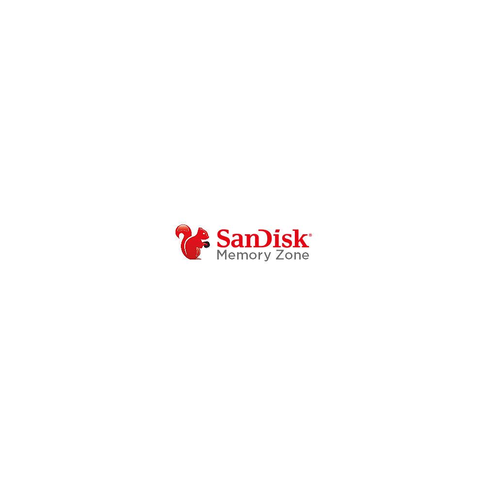 SanDisk Ultra 256 GB microSDXC Speicherkarte Kit (100 MB/s, Class 10, U1, A1)