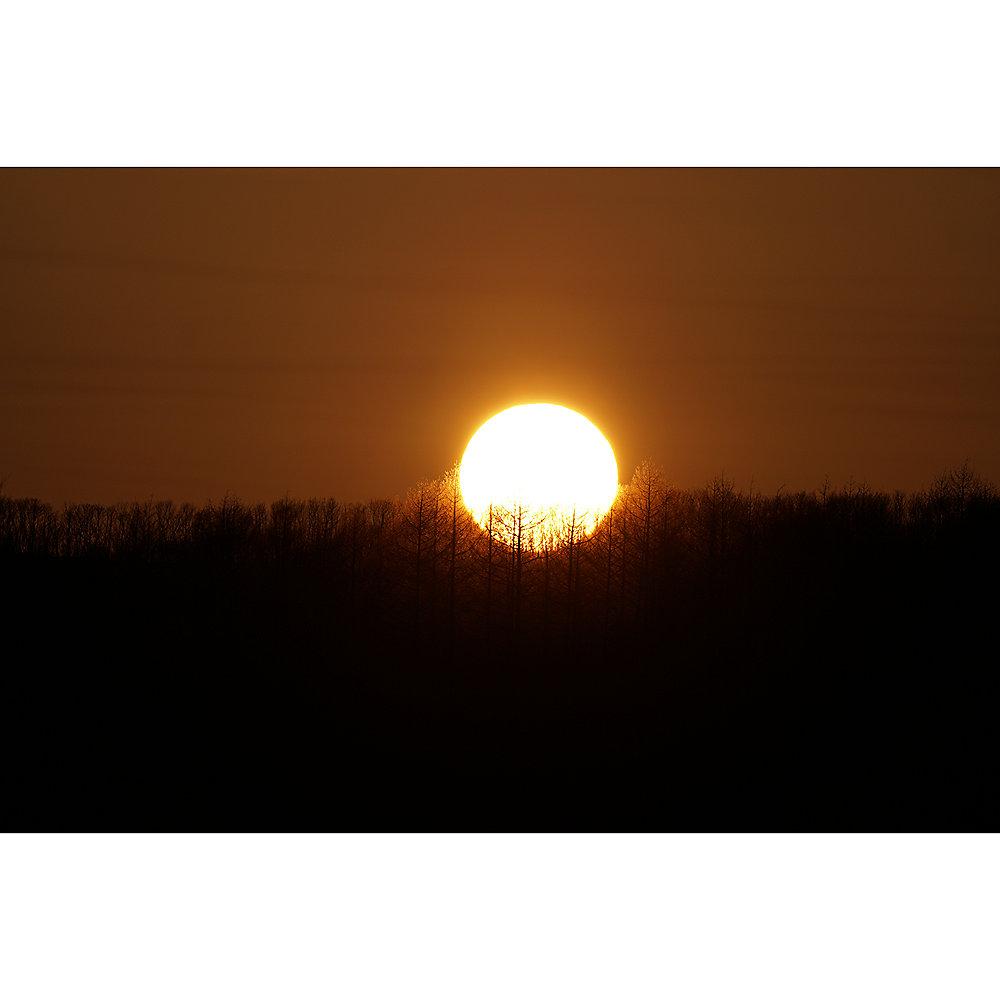 Sony FE 100-400mm F4.5-5.6 GM OSS Tele-Zoom Objektiv