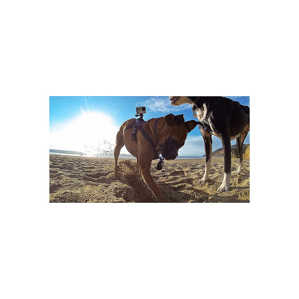 GoPro Fetch / Dog Harness (ADOGM-001)