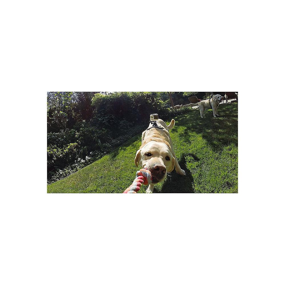 GoPro Fetch / Dog Harness (ADOGM-001)