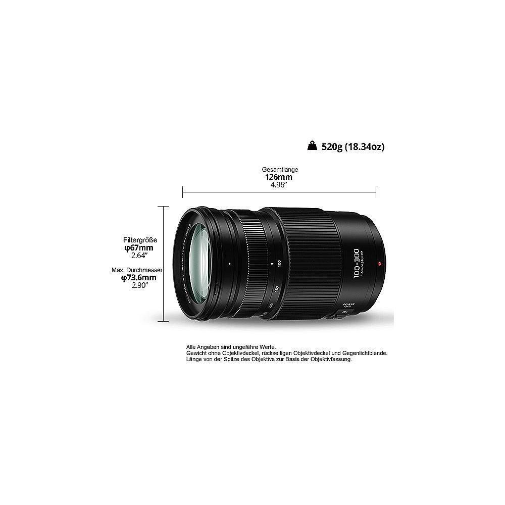 Panasonic Lumix G Vario 100-300mm f/4,0-5,6 II/Power-O.I.S. Tele Zoom Objektiv