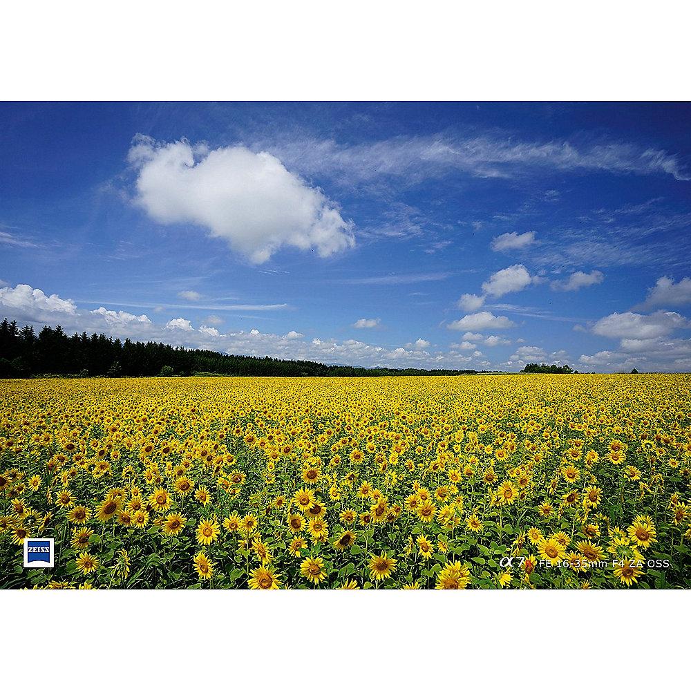 Sony T* FE 16-35mm F4.0 ZA OSS Standard Zoom Objektiv (SEL-1635Z)