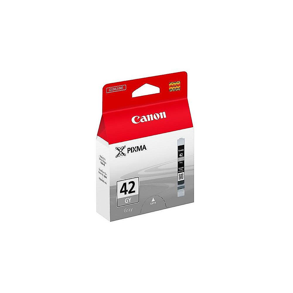 Canon 6390B001 Druckerpatrone grau CLI-42 GY