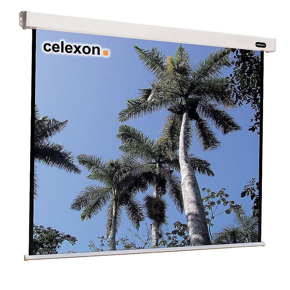 Celexon Motor Professional-Leinwand 300 x 300 cm 1:1 1090092