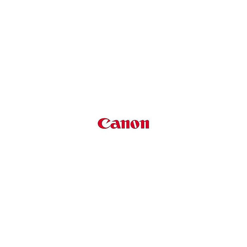 Canon 9634A002 Toner schwarz C-EXV12