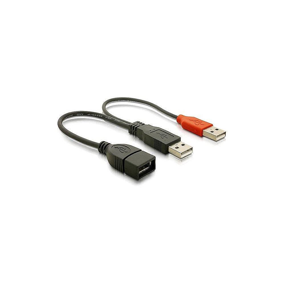 DeLOCK USB 2.0 Daten- und Powerkabel Y-Kabel 0,23m 2x A St. 1x A Bu. 65306