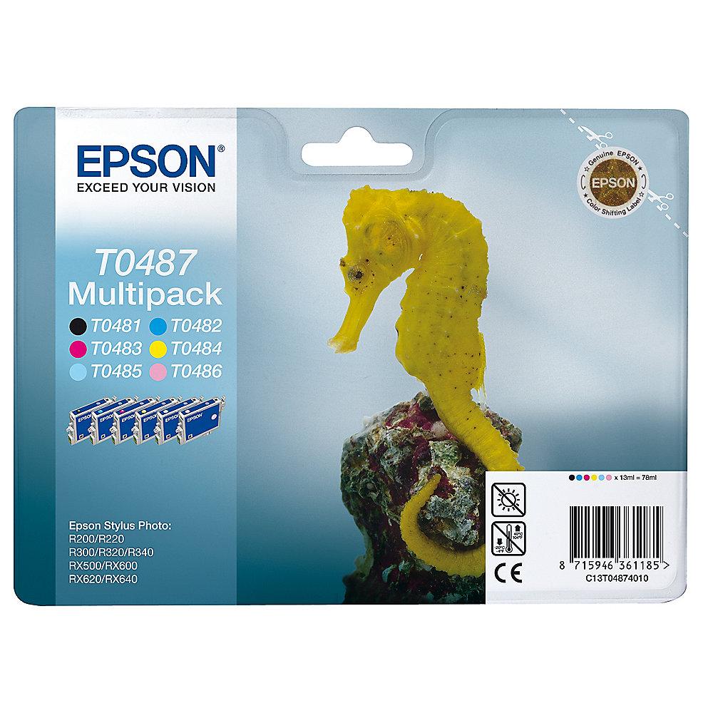 Epson C13T04874010 Druckerpatrone T0487 (6 Farben) Multipack