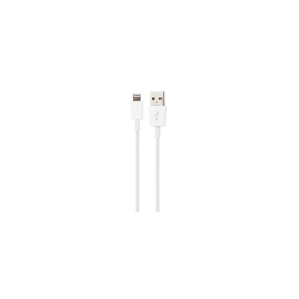 xqisit Charge & Sync iPod/iPad/iPhone USB-Lightning Kabel 1m weiß