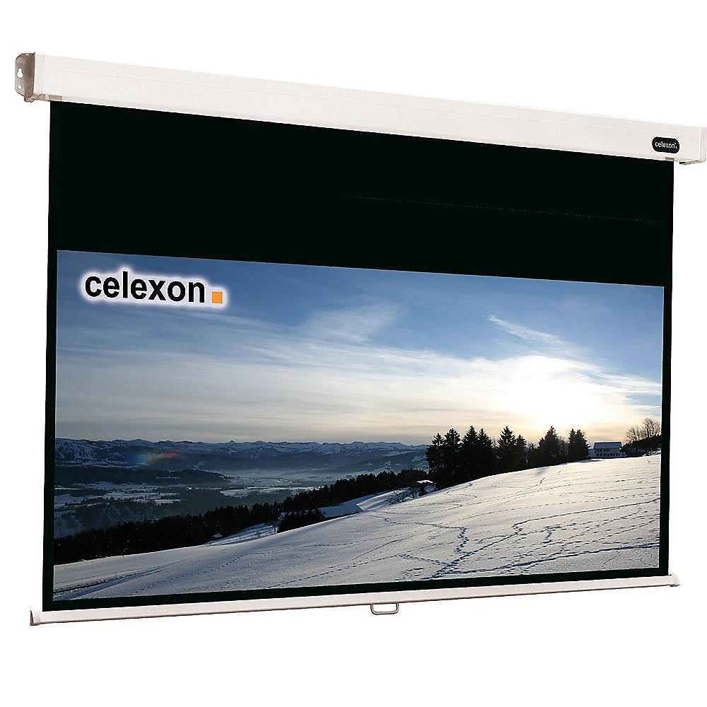 Celexon Rollo Professional-Leinwand 300 x 225 cm 4:3