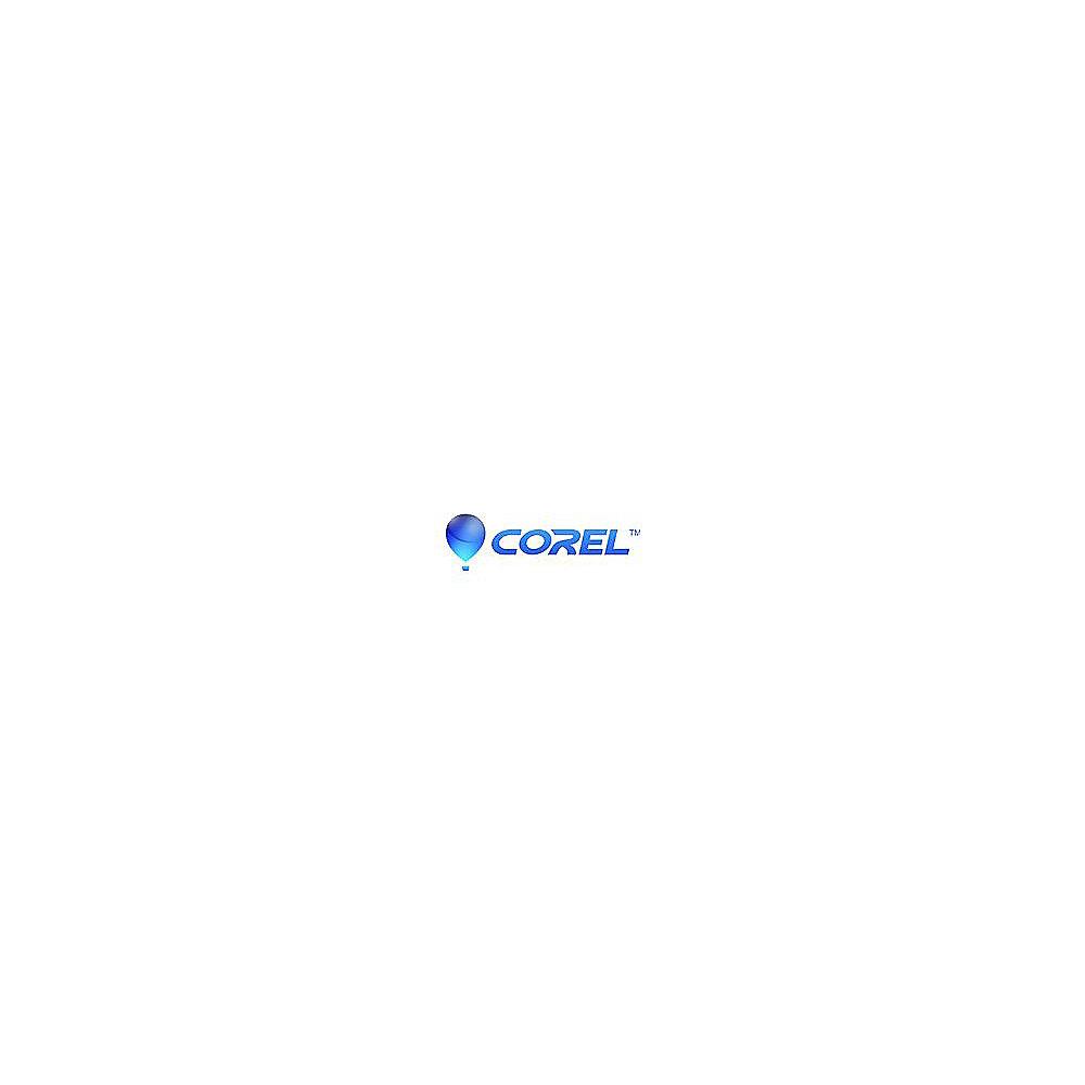 CorelDRAW Graphics Suite 2018 251  User Enterprise License   1Y CorelSure MNT