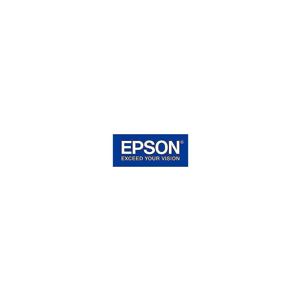 Epson C13T591500 Druckerpatrone helles cyan T5915