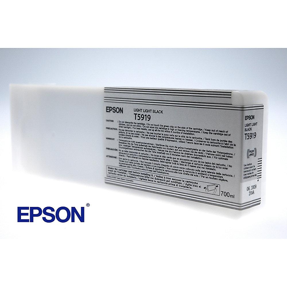 Epson C13T591900 Druckerpatrone T5919 helles schwarz