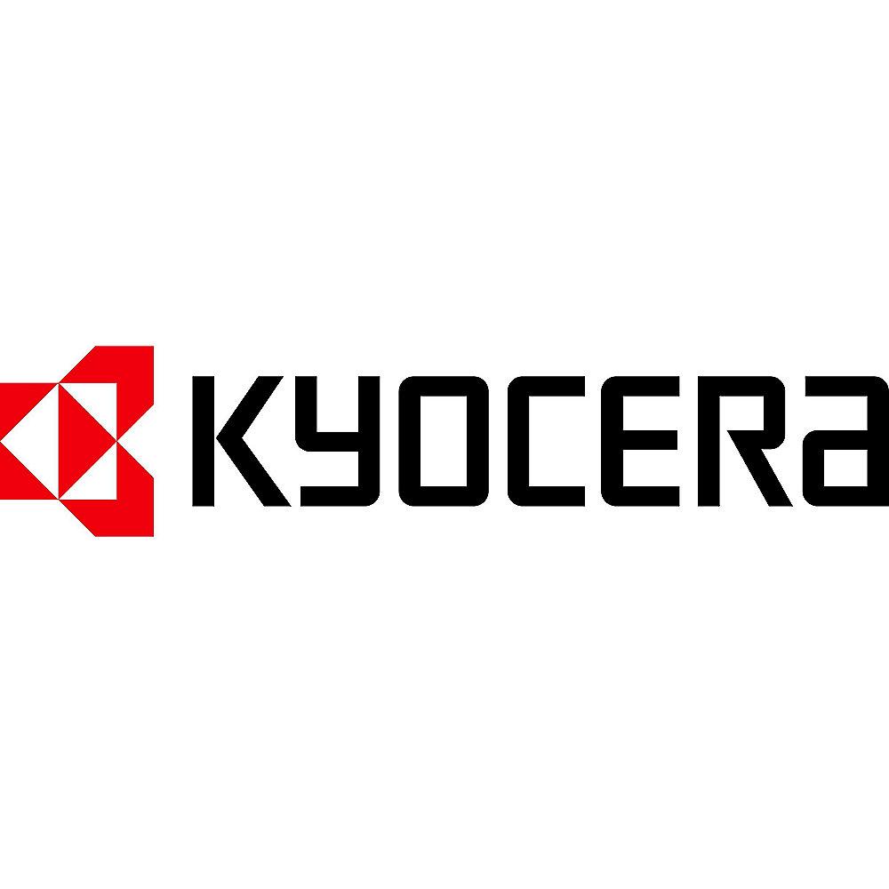 Kyocera DV-130 Entwickler-Kit FS-1300 schwarz