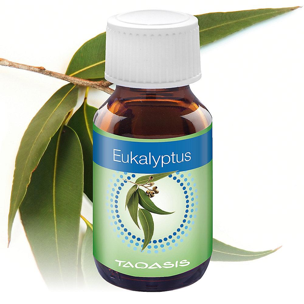 Venta Eukalyptus-Duft, 150ml (3x50 ml)